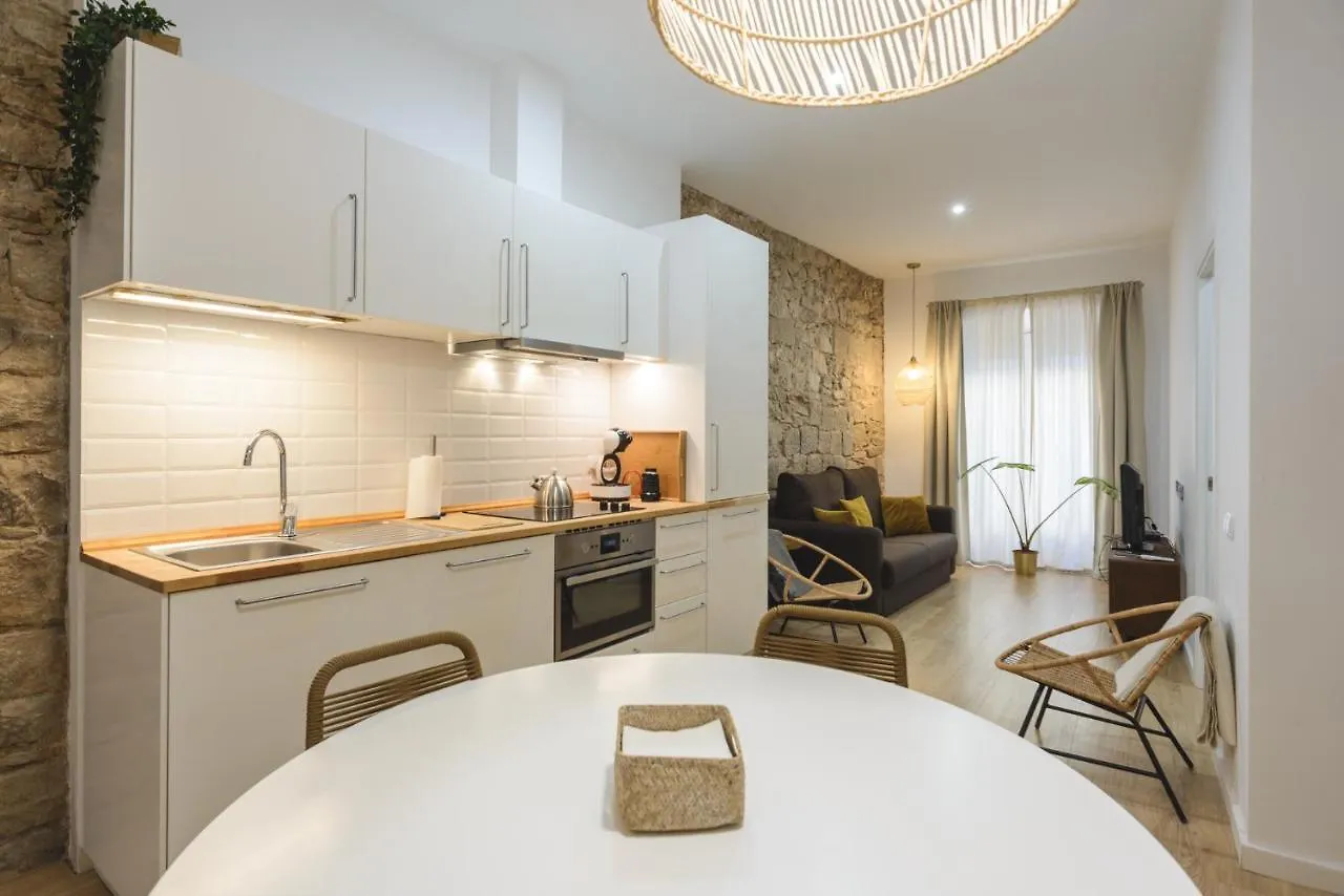Apg Palau Salieti 2 Apartment Girona